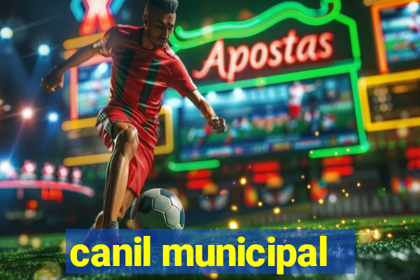 canil municipal